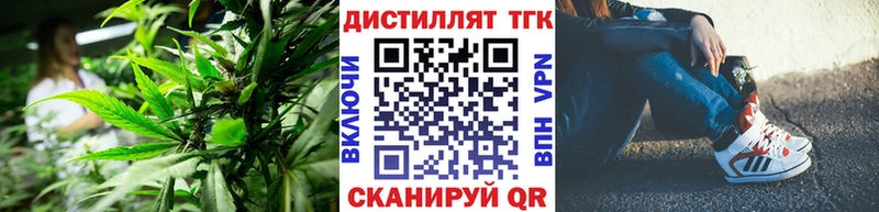 mega онион  где можно купить наркотик  Мурино  ТГК вейп с тгк 