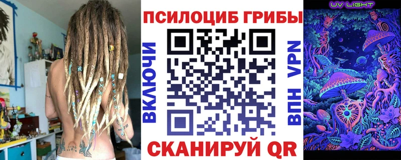 Псилоцибиновые грибы прущие грибы Мурино