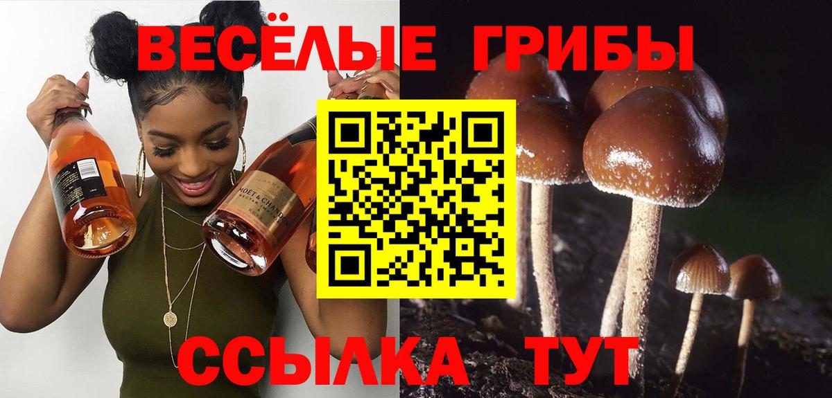 Псилоцибиновые грибы Magic Shrooms  Вход с VPN  Мурино 